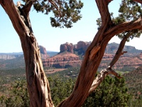 Phoenix-Sedona-2009-042